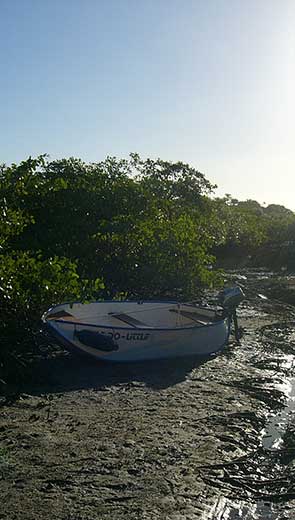 Anlanden
